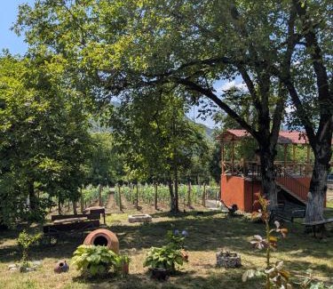 Ambrolauri House | Kipiani guest house ყიფიანის სახლი