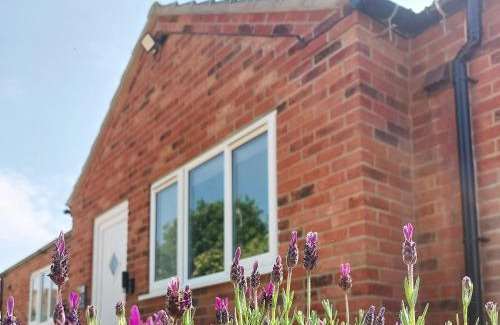 Lincoln Apartment | Kirkstead - Uk49438