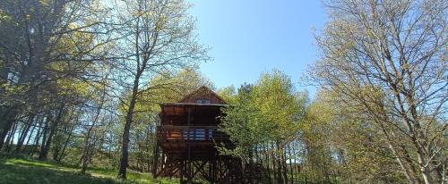 Orfalu Apartment | Kis Tűzlepke Lombház