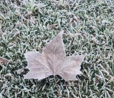 Santo Antonio do Pinhal Apartment | Kitnet Centro