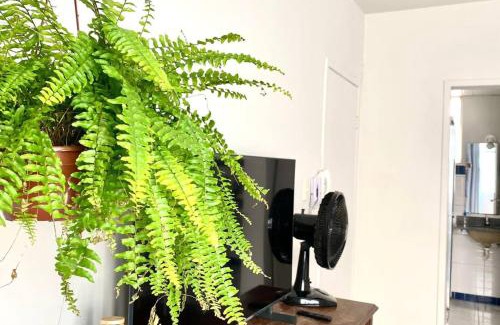 Vicosa Apartment | Kitnet na rua da UFV com garagem
