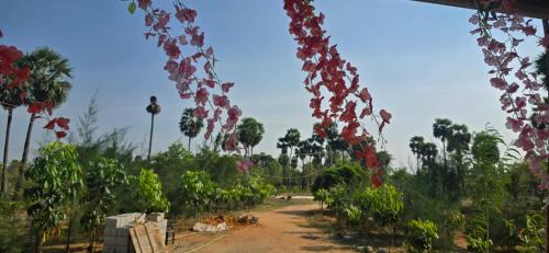 Karaikudi House | KK Dream Garden