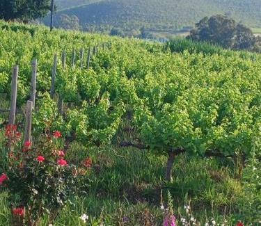 Langeberg Bed & Breakfast | Klaasvoogds Loft