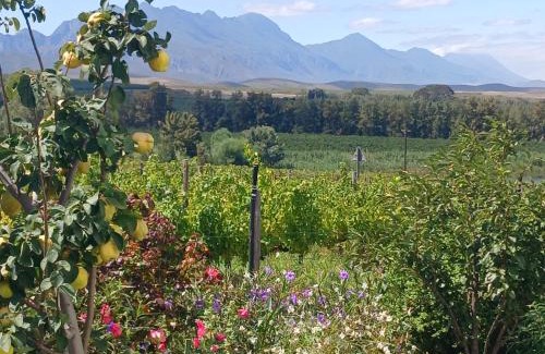 Langeberg Bed & Breakfast | Klaasvoogds Loft