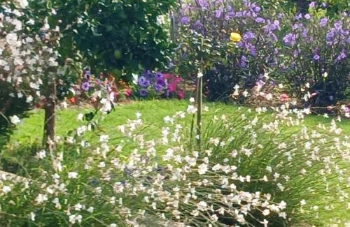 Langeberg Bed & Breakfast | Klaasvoogds Loft