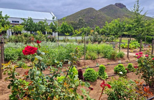 Langeberg Apartment | Klawerjas Flute Cottage