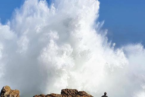 Pringle Bay Apartment | Kleinblom in Pringle