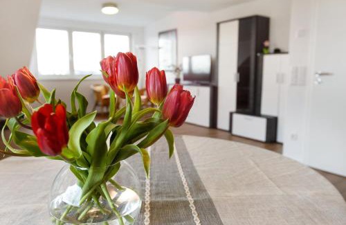 Albbruck Apartment | kleine Auszeit