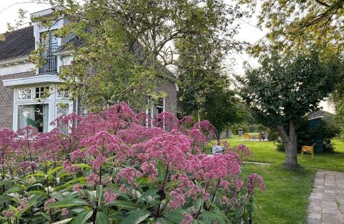Dijkhuizen House | Kleine Huisje
