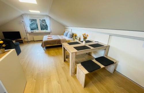 Sinzenich Apartment | Klimatisierte Ferienwohnung in Seenähe