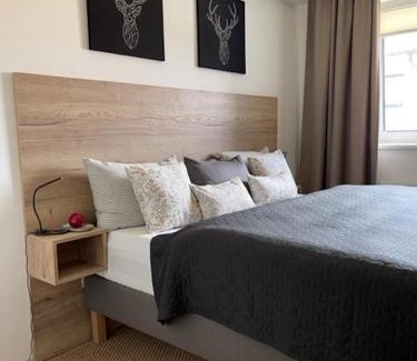 Jachymov Apartment | KLINOVEC APARTMENTS LUXURY
