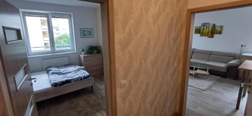 Olomouc Apartment | KM Apartment's