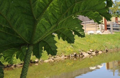 Corscombe Other | Knapp Farm Glamping Lodge 1