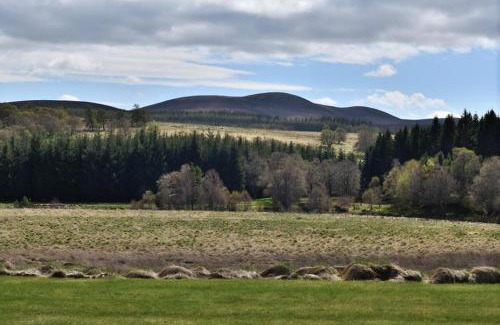 Alness House | Knocklea