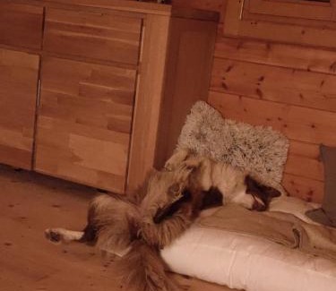 Wiesfleck Ski Chalet | Knusperhäuschen mit Wellness-Oase