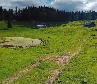Gorje Apartment | Koča na Kranjski dolini Krnica 93 a,Pokljuka