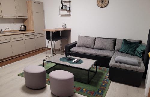 Bukovlje Apartment | Kod Dide - entry with pin 0-24h
