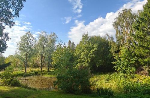 Raahe House | Kodikas talo lammen rannalla