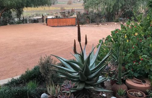 Ladismith House | Koedoeskloof Guesthouse