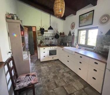 Raposka House | Kofal Pince 1