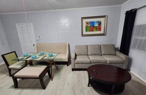 Old Seminole Heights House | KOGUI in Seminole Heights