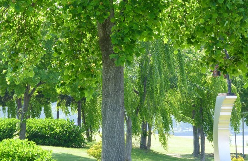 Toyako House | Kohan no yado Kojima