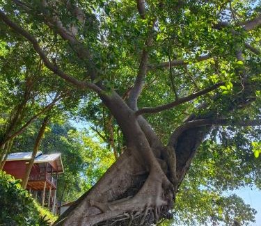 Nuea Khlong House | Kohjum Seafront Resort