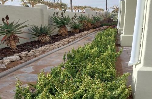 Vanrhynsdorp House | Kokerboom House