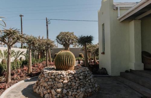 Vanrhynsdorp House | Kokerboom House