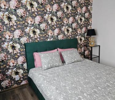 Koknese Apartment | Koknese City Apartment