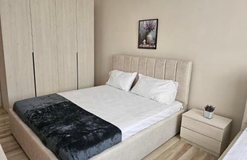 Lezhe Apartment | Koko Pepito apartment