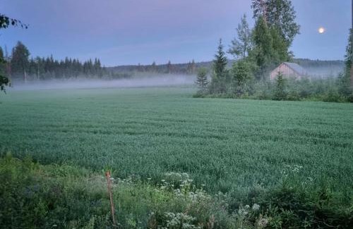 Rautjarvi Apartment | KoloCabins- Hiitolanjoki 3