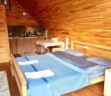 Almaty Province Ski Chalet | Kolsay Tanbalytas A-Frame