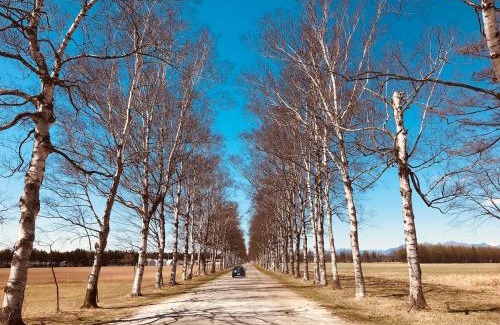 Otofuke Apartment | Komaba lodge