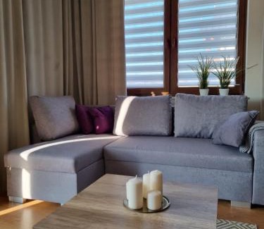 Naleczow Apartment | Komfort Apartament