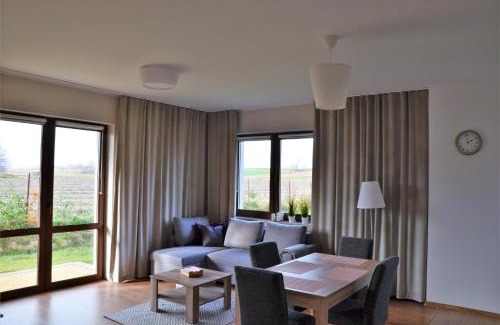 Naleczow Apartment | Komfort Apartament