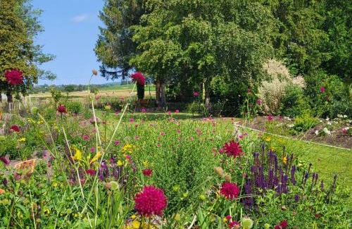 Losheim am See Apartment | Komfort Ferienwohnungen mit Wellness-Garten - Gästehaus am Bachlauf - Losheim am See