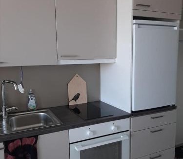 Kangasala Apartment | Kompakti studio