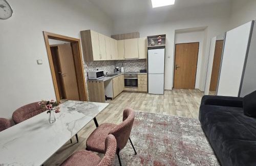 Golcuv Jenikov Apartment | Kompletně vybavený byt s ložnicí v centru u divadla