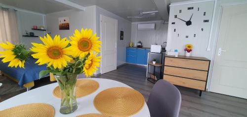 Fantanele Apartment | Konténer kulcsosház