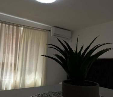 Rana Apartment | Kontiki Apartments 2