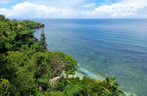 Zamboanguita Resort | Kookoo's nest eco-lodge