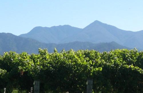 Renwick House | Korohi Vineyard BnB