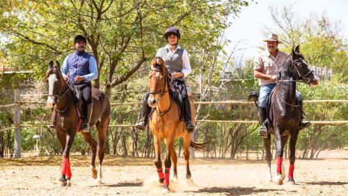 Bali House | Korta Escape- A Heritage Resort in Jawai