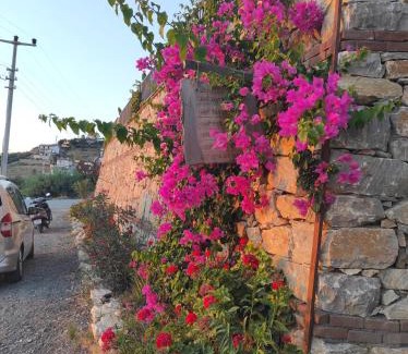 Gazipasa Villa | Koruwoodenhouse Alanya Gazipaşa