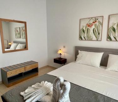 Psalidi Apartment | Kos Physis Apartment