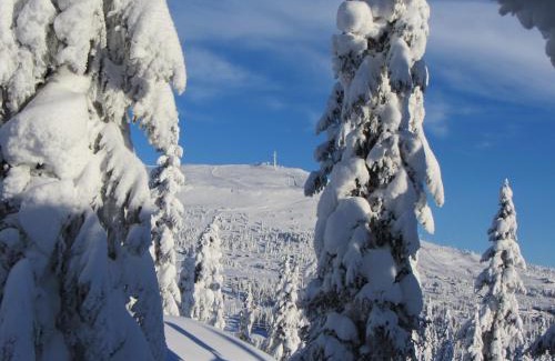 Svingvoll Cabin | Koselig familiehytte sentralt på Skeikampen til leie