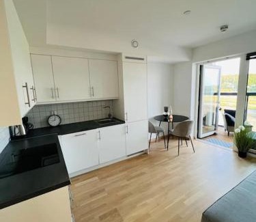 Ullensaker Apartment | Koselig studioleilighet