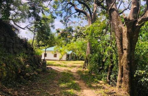 Bandarawela Apartment | Koshi's Country Cottage Ella
