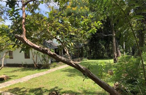 Bandarawela Apartment | Koshi's Country Cottage Ella
